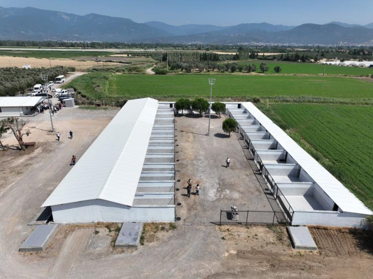 Edremit Belediyesi can dostlara sahip çıkıyor 2
